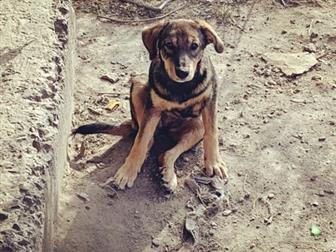 �����,������� 3-4 ������,����� �� ���� ����,��� ������� ��� ���������� ���������� ?? � �� ����� �����,�� ��������� �� ���( �� ������ �������� ��,����������������,����������, � ������������