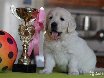 �������� ���������� ������ ����������� ��������� 5 ��������� � 4 �������, � ����������� ��� , ������������ ��������� �  ���������� �� �������� �� ������������ ���������, � ������������