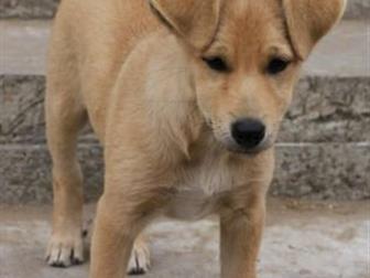 �����-������� ����� ������ � �������� 3-� �������  ����� �������, ��������, �������,  ����� ������� ��������,  ������ ��� ��������� �  ��������  �������,  ������ � ������������