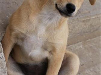 �����-������� ����� ������ � �������� 3-� �������  ����� �������, ��������, �������,  ����� ������� ��������,  ������ ��� ��������� �  ��������  �������,  ������ � ������������