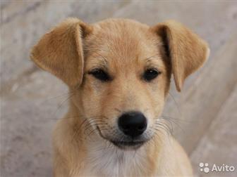 �����-������� ����� ������ � �������� 3-� �������  ����� �������, ��������, �������,  ����� ������� ��������,  ������ ��� ��������� �  ��������  �������,  ������ � ������������