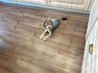 ������ ������ � ������ ����,  ��� �����,  ��� ����� 6 �������,  ������,  ���� �������,  ������ ���� ���� ������,  ����� �� �������,  �������, �������,  �������� � ������������