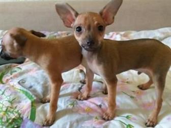 ������ ��������� ����������� �������� � ������� ������ ���� � ����� ���� ����� ��������� �� ������� �������� , �������� , ������������� ���� ����� ������ � ������� � ������������