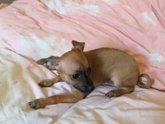 ������ ��������� ����������� �������� � ������� ������ ���� � ����� ���� ����� ��������� �� ������� �������� , �������� , ������������� ���� ����� ������ � ������� � ������������