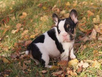 ����� �������� ����� ������� ������ � �������� � ����� ������ �����, � ����� ��������� �� �� ���������� �� ����������,������ ������ � ������ ��������, ������� ������ � ������������