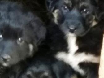 �����������, ��� ���������� ������ �� ����������� ������������ �������� �����,  ��� ��������,  �� ���� ������ ������ ������, �� ��� ��� ��������� �������� ��������, � ������������