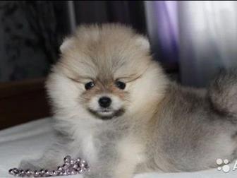 ��������� ����� ������������ �����  �������� ���, ����� ������ �������� ������, ������� �����, ������ �����, ����� 6�6, �������� �� ��������,  ��������� �� �������, � ������������