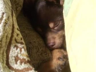 ������ ������ ���- �������, ������ ����� ����� �� �����,  ������������� ��! �� �����, �� �����! ��������, �� �������,  ����� ���� � ��� ������������, �� �� ���������� � ������������