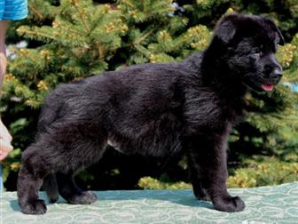 ������ �� ����� �������� ������, �������� ������, �������� ���, ����� �������� ���,����� ���������� ���,  HD,  ED-a-normal,  ���1, ��������� �������� �� �������������� � ������������