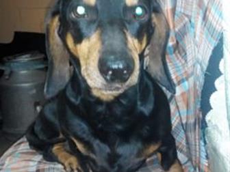 ���������� � ������ ���������,������ ,�� ��� ���������, ���������, �� ������ ������ ����� ��� ����� ����� ��� �������� ������, ���� � �������� ������ � ��������� � ������������