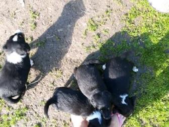 ����� ��������!!!���� ����� ������ ������!! � ������������