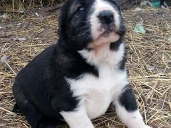 ������������ ��� �������������� � ���������� ������������ ��� �,  �,  25 �������� 2019������ �� ����� ���� ������� �����,���� ������� �����,�1* ����� ���� ������� � ������������