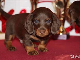 ������ ������ ��� ����� ����� � ������� ���� ������������� ����� ����� ��������� � �������� �� �������� ��������� ����� ������������ �������,����� ���� ���������� � ������������