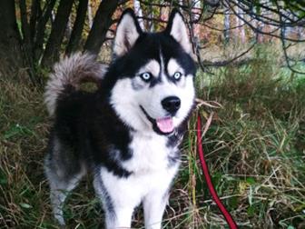 ������������ ��� ����� ������  ��������� �����,  ������� 3����, ��������� ������, �����������, ������, � ������������