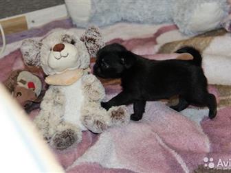 ������� , ����������� �������, ������� ������, ������ ������, �������� ������, �, �,  16, 09, 2019�,  �������, �������, ��������,  ��� ���������� !� ������� �������� � ������������