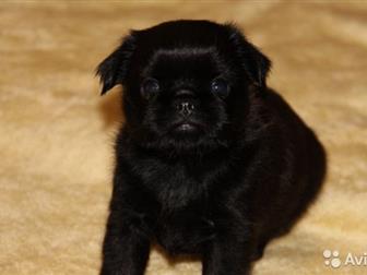 ������� , ����������� �������, ������� ������, ������ ������, �������� ������, �, �,  16, 09, 2019�,  �������, �������, ��������,  ��� ���������� !� ������� �������� � ������������