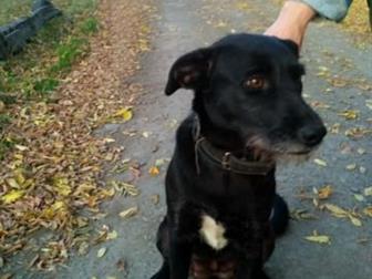 ������ ���� ������������� ������, , ,  �������� �� �������� ������ ������� ������� �� ����,  ������ ��� ������� � ��� ������� ������������� �� ������� ��������, � ������������