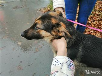 ������� ������, ����, ������� �� ��������� �������� ������� � ������������