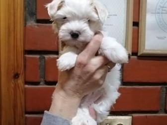 ��������� �������������� ����-��������, �������� ��� ������ � ������������