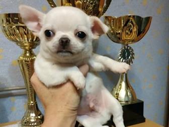 �������� ������� �������� ��������� ������, �, �,  14, 09, 19 � �������� ��������� �������, ��������, ��������, ����������, �� ����, ������������ ����� �� ��������, � ������������