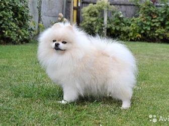 ����� ������������� ������� ������! ���������� ����� �������� �����,  ������������ ����������� ������ ��� �����,  ���� 22 �� � �����,  ����� ��������� �����,  ����������� � ������������