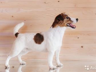 ������������ ��� ���������� ������������� �������������� ������,  ����� ����� ������������� (��������� ������ ������, ���������, ����������),   ���������� ��������, � ������������