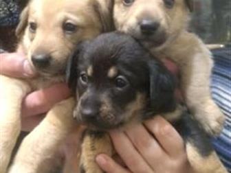 ��� �������! �������� 13, 10, 19,   � ��� �� ����������! ����� �� �������! � ������������