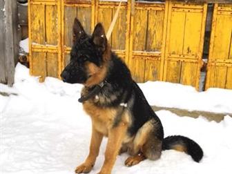    - 10 ,  ,  ,  ,    (  ),  
