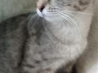         ,   8 ,      ,  ,  