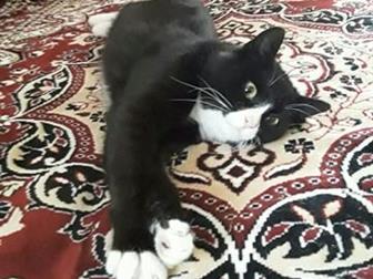 -   ,       ,          ,     ,    