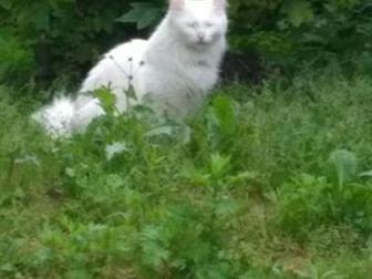   ,   () 5 ,    ,  ,      ,  