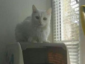   ,   () 5 ,    ,  ,      ,  