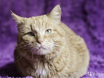  ,    6 ,  ,   ,  , ,   ,     -      