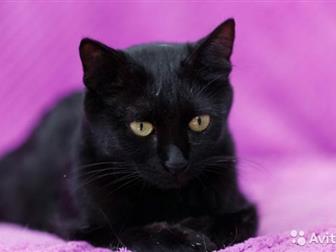      ,        !    ,    ,  