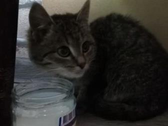       ,   3 ,  ,   ,,   ,     ,  