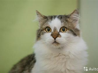   !        -! , ,     ,    ,  