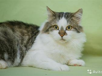   !        -! , ,     ,    ,  