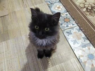 ,            ,     ,   ,        ,  