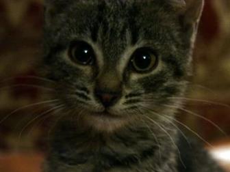 ??      ??  ,   2, 5 !   ,  ,  ,     