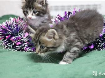 , 1,5 !    !    !   !    !  