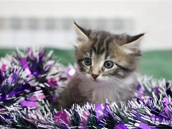 , 1,5 !    !    !   !    !  