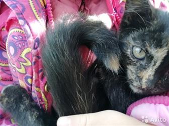  6 ,   ,  , ,   ,     !  