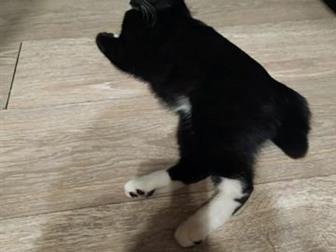     ,   4  - ,   ,    ,      ,   ,  