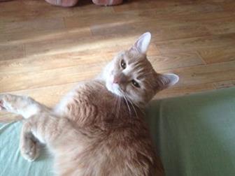    !    ,        ,   6 , , ,  ,  