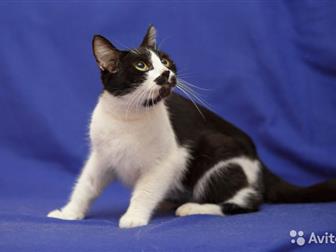     ,         ,     ,  , , ,  