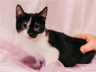    ,   ,    ,  , ,    ,  ,    5,  