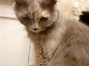      ,   ,,  ,  , ,  ,      ,   