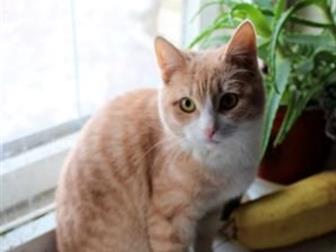  6   ,       ,       ,  