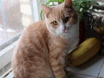  6   ,       ,       ,  