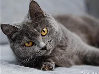        , , ,      ,  -    ! -   